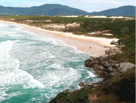 Praia do Moçambique é uma das candidatas a ser tornar a primeira Reserva Nacional de Surfe